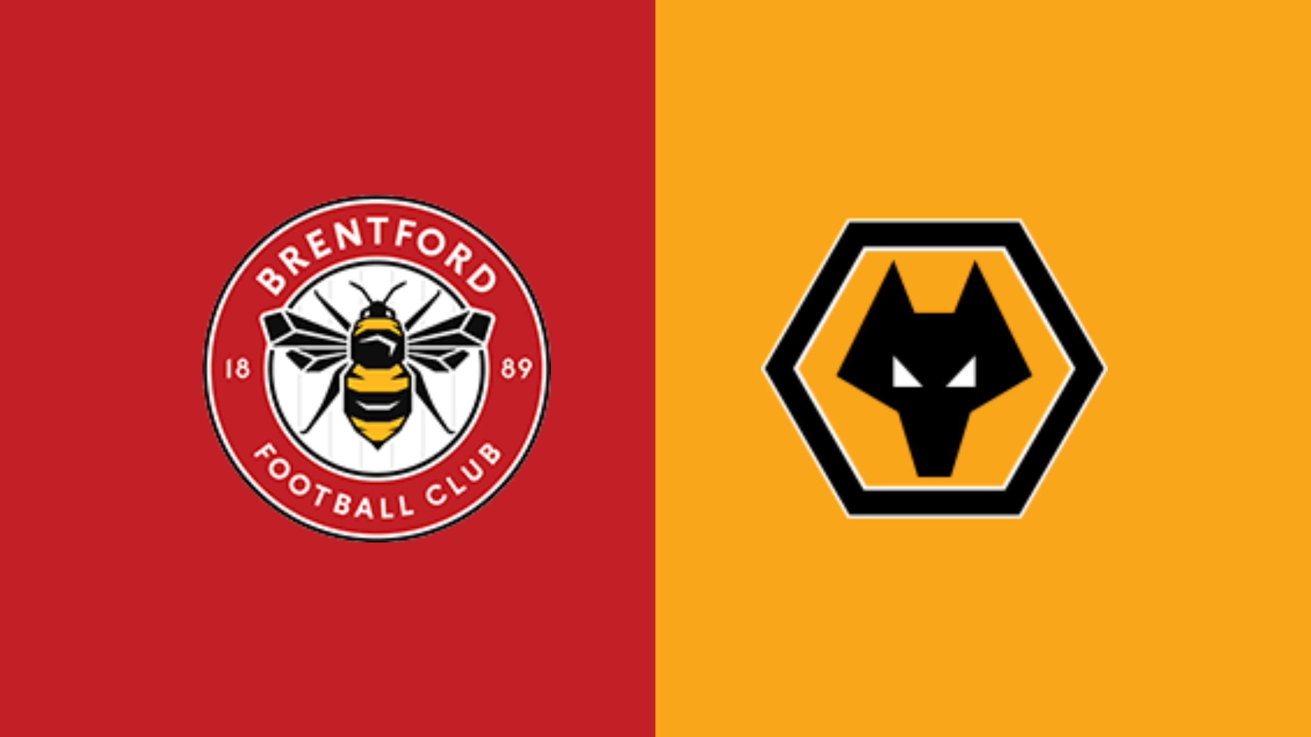 Brentford vs Wolvers